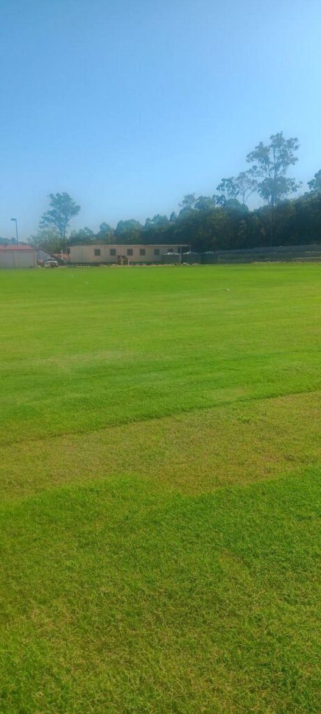 New turf established at the Holy Cross FC home ground after several weeks of watering